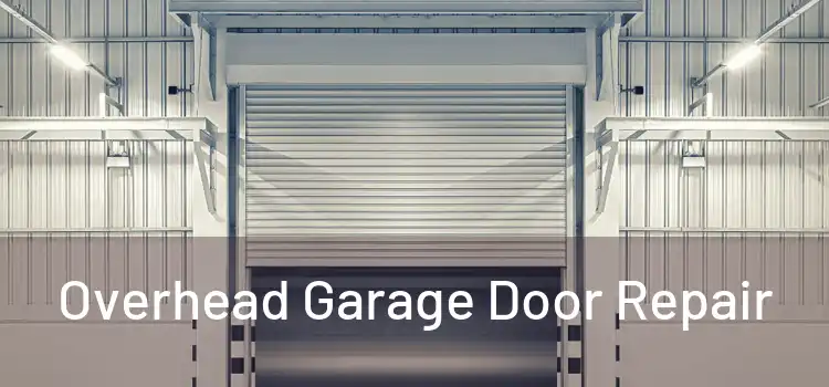  Overhead Garage Door Repair 